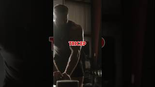 CBUM Triceps Workout  Chris Bumstead Triceps Workout cbum triceps tricepsworkout gym workout [upl. by Maura590]