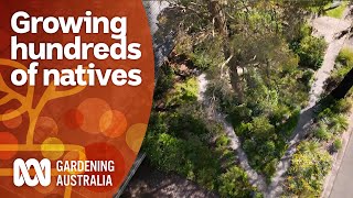 How a plant lover grew hundreds of native plants  Garden Inspiration  Gardening Australia [upl. by Brunk]