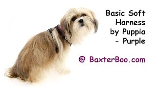 Basic Soft Harness by Puppia  Purple [upl. by Gilles753]