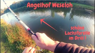 Lachsforellenangeln mit Spoon und Pose Angelhof Weseloh Powerbait Big Trout Fishing Forellenangeln [upl. by Linnette]