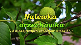 Nalewka orzechówka  z niedojrzałych orzechów włoskich [upl. by Aened]