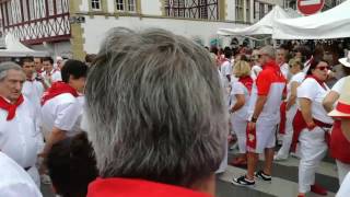 Fêtes de Bayonne 2017  un petit tour parmi les festayres [upl. by Hsevahb]