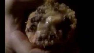 Pepperidge Farm Muffin Commercial 1985 [upl. by Mini895]