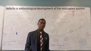 Defects in the embryological development of the respiratory system [upl. by Mastat161]