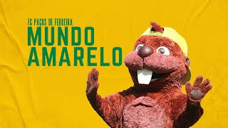 Mundo Amarelo  FC Paços de Ferreira [upl. by Nanete121]