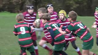 U10s Mini Rugby  Wirral Vs Hoylake  25th Nov 2018 [upl. by Valdes]