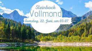 🌝♑ Vollmond  Energien in der Astrologie ✨ Vollmond im Steinbock 2024 [upl. by Llenrad]