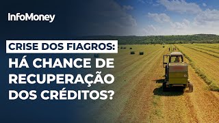 Crise dos FIAGROS há chance de recuperação dos créditos [upl. by Nnyleuqcaj]