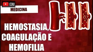 Hemostasia coagulação e hemofilia [upl. by Larena]