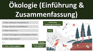 Ökologie EinführungZusammenfassung  Abitur Biologie Ökologie Oberstufe  110 [upl. by Kcirddot]