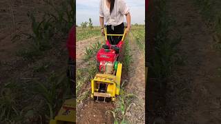 Weeding and Trenching Machine 25cm Gasoline Trenching Machine ProfessionalMicro tillage manufacturer [upl. by Uke235]