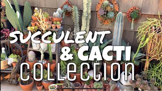 🌵 Outdoor Plants  Cacti amp Succulents 🌵 [upl. by Etnasa]