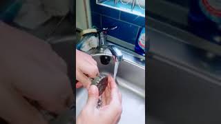 How to clean a Magnaclean Micro 2 filter 🧼 [upl. by Faline]