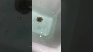 Pulling plug in big sink satisfying cool water [upl. by Eiznek]