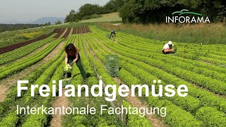 Interkantonale Fachtagung Freilandgemüse [upl. by Llerred]