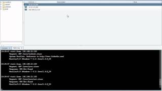 System Profiler  Cobalt Strike [upl. by Jehiah]