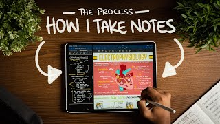 How I Take Notes with My iPad Pro in Lectures Notability amp GoodNotes  Free Template [upl. by Akimehs846]