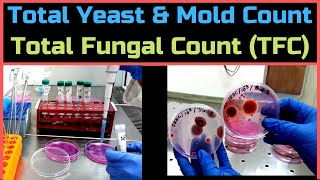 Total Yeast amp Mold Count Total Fungal CountA Complete Procedure BAM Ch18 [upl. by Adnema]