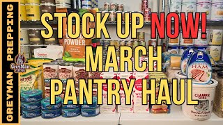 Prepper Pantry Food Haul  Stock Your Pantry Up [upl. by Lucius]