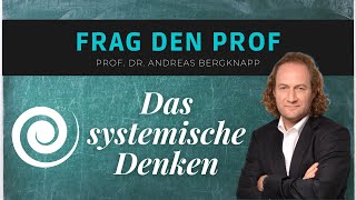 Frag den Prof  Systemisches Denken  Hochschule Nordhausen [upl. by Llenol]