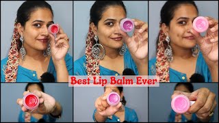 Best LIP BALM for Dry Lips Plum Lip Balm Review Plum candy Melts Get rid of Dark Lips [upl. by Huberman470]