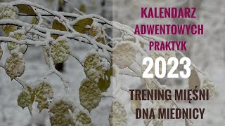 Dzień 16 TRENING DNA MIEDNICY  KALENDARZ ADWENTOWYCH PRAKTYK 2023 [upl. by Bravar764]