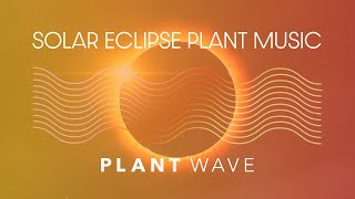 Solar Eclipse Plant Music [upl. by Nimajneb]