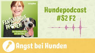 Wenn Hunde Angst haben  zooplus Hundepodcast  S2 F2 [upl. by Cohla]