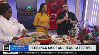 Pechanga Tacos and Tequila Festival [upl. by Aisat]