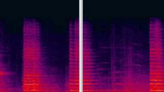 Iannis Xenakis  Metastasis Spectral View [upl. by Cyrill]