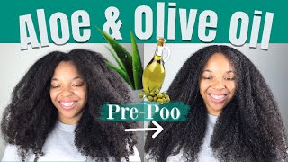 How I PREPOO my Hair with ALOE VERA and OLIVE OIL Updated Routine [upl. by Kincaid]