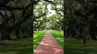 Oak Alley Plantation  Vacherie Louisiana [upl. by Alrahs189]