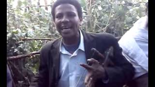 Gojjam  Ethiopia [upl. by Thad]