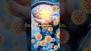 Brain eating amoeba trending facts biology youtubeshorts science viralshorts death science [upl. by Nahij]