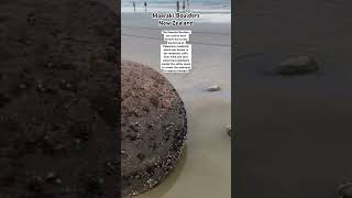 Moeraki Boulders newzealand mysteryunveiled [upl. by Ydurt]