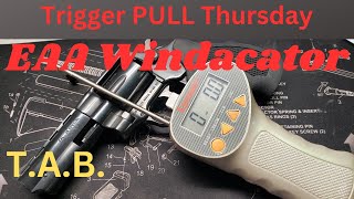 Trigger Pull Thursday EAA WindicatorTAB [upl. by Ahsea137]