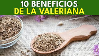 10 Beneficios Saludables de la Valeriana  BENEFICIOS SALUDABLES [upl. by Airotal905]