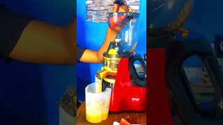 BEST Powerful Juice extractor  Best Juicer 2023RAF [upl. by Orat401]