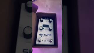 Unboxing the GFI Skylar Reverb Pedal unboxing reverb pedal [upl. by Ahsenot]