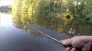 Pêche u brochet au whopper plopper attaque en direct [upl. by Buatti]