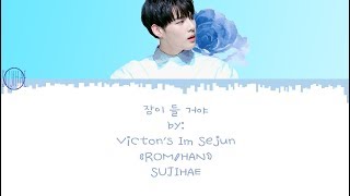 잠이 들 거야 Im going to sleep Victons Sejun Lyrics RomHan [upl. by Eolande28]