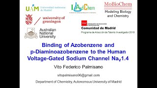 Binding of Azobenzene and pDiaminoazobenzene to the Human VoltageGated Sodium Channel Nav14 [upl. by Secundas]