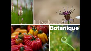 Introduction à la botanique  Introduction [upl. by Eelaroc]