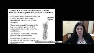 163 DNA repair DNA packing [upl. by Ycam]