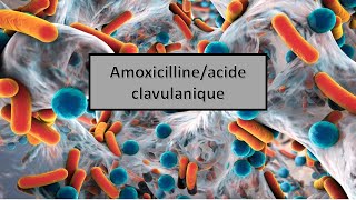 quotles médicaments génériques en Algérie quotAmoxicillineacide clavulanique [upl. by Aleris]