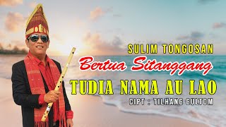 TUDIA NAMA AU LAO BERTUA SITANGGANG SULIM TONGOSAN [upl. by Idok838]