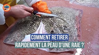 Comment retirer la peau dune raie  par un mareyeur [upl. by Graff]