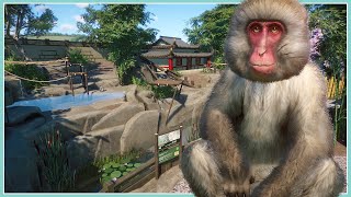 Japanese Macaque Habitat  Mayberry Park Zoo  Planet Zoo Speed Build [upl. by Kalbli]