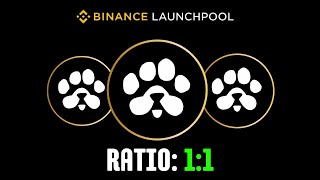 Paws Airdrop Binance Listing Confirm  Paws Airdrop Ratio [upl. by Ulda]