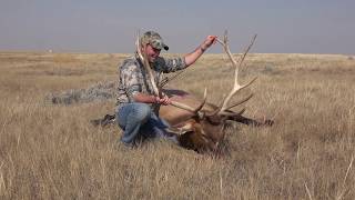 Southern Alberta Elk Hunting [upl. by Till]